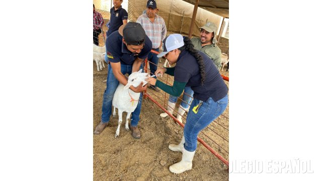 Colegio Español del Sureste - Ingeniero Agrónomo Zootecnista